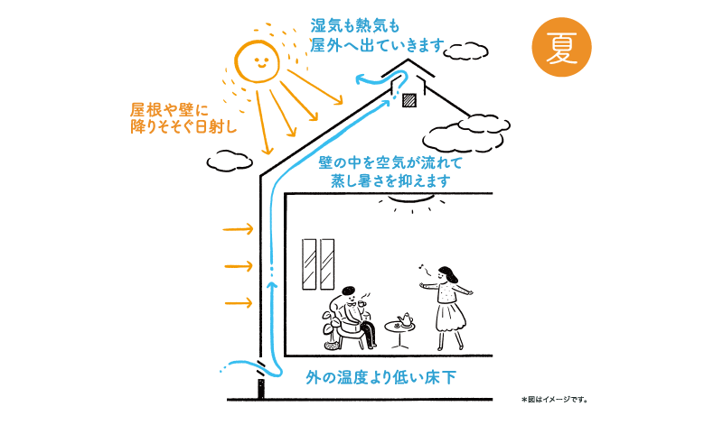 特徴その1「壁の中の通気性」